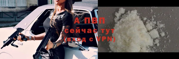 ALPHA PVP Гвардейск