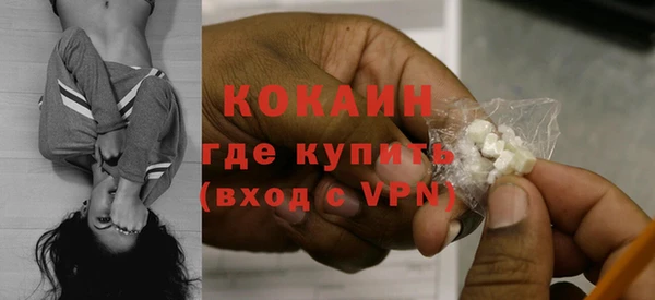 apvp Гатчина