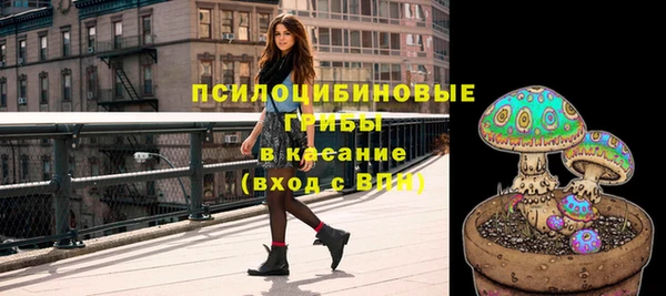 ешки Покров