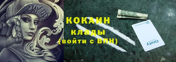 ALPHA PVP Гвардейск