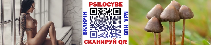 Галлюциногенные грибы Cubensis Сафоново