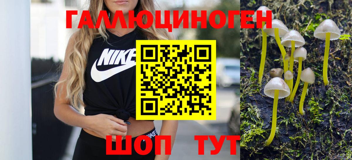 Галлюциногенные грибы мицелий  Псилоцибиновые грибы прущие грибы  Вход с VPN  Сафоново 
