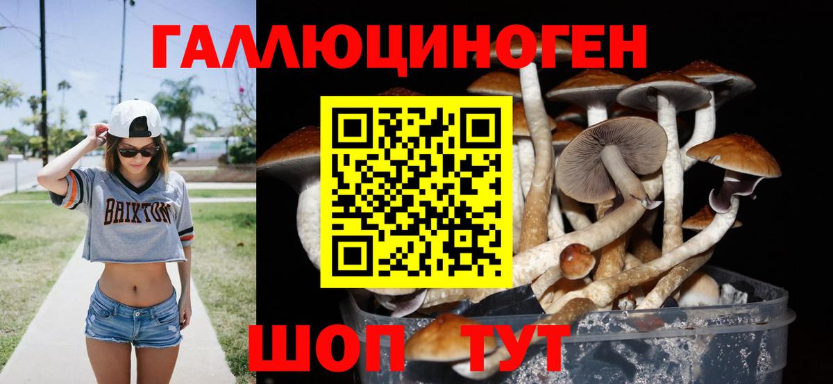 Галлюциногенные грибы мицелий Сафоново
